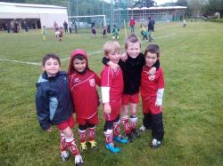 img-20130427-110344-1.jpg