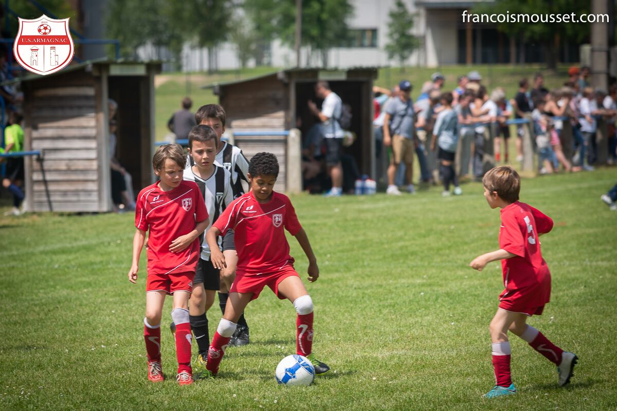 Img 7951 preview