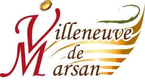 Logo villeneuve